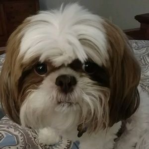 Meet your Posher, Bianca